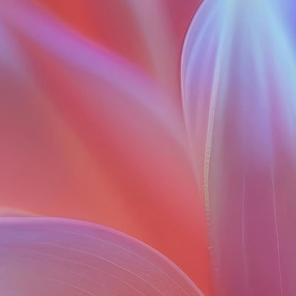 Dahlienblüte