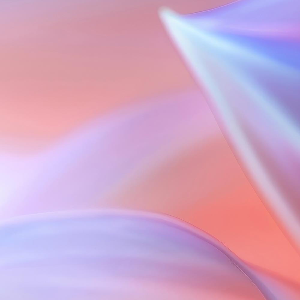 Dahlienblüte