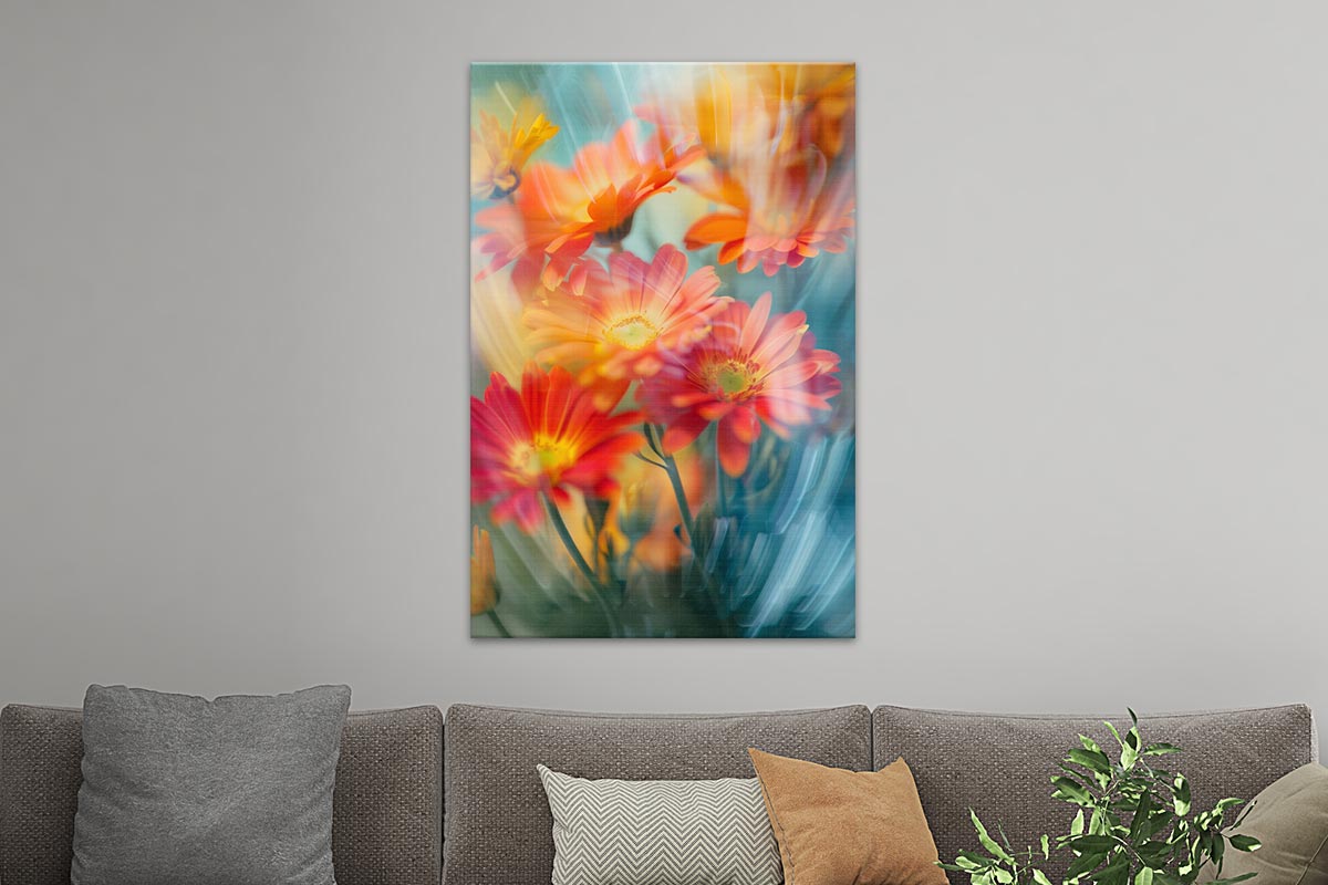 Verträumte Gerberas