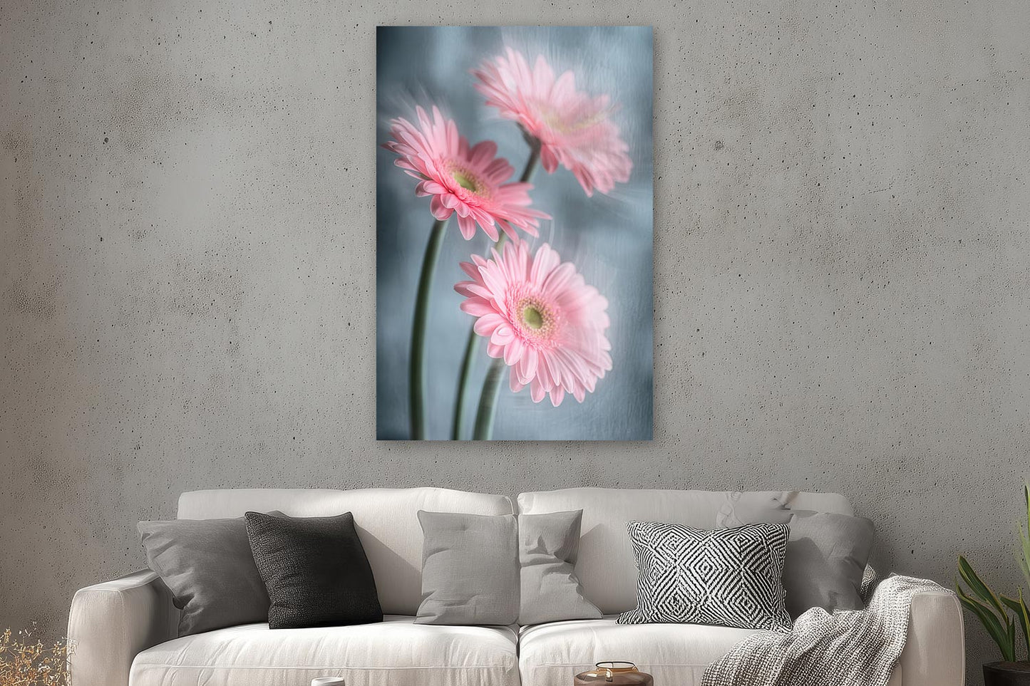 Gerberas