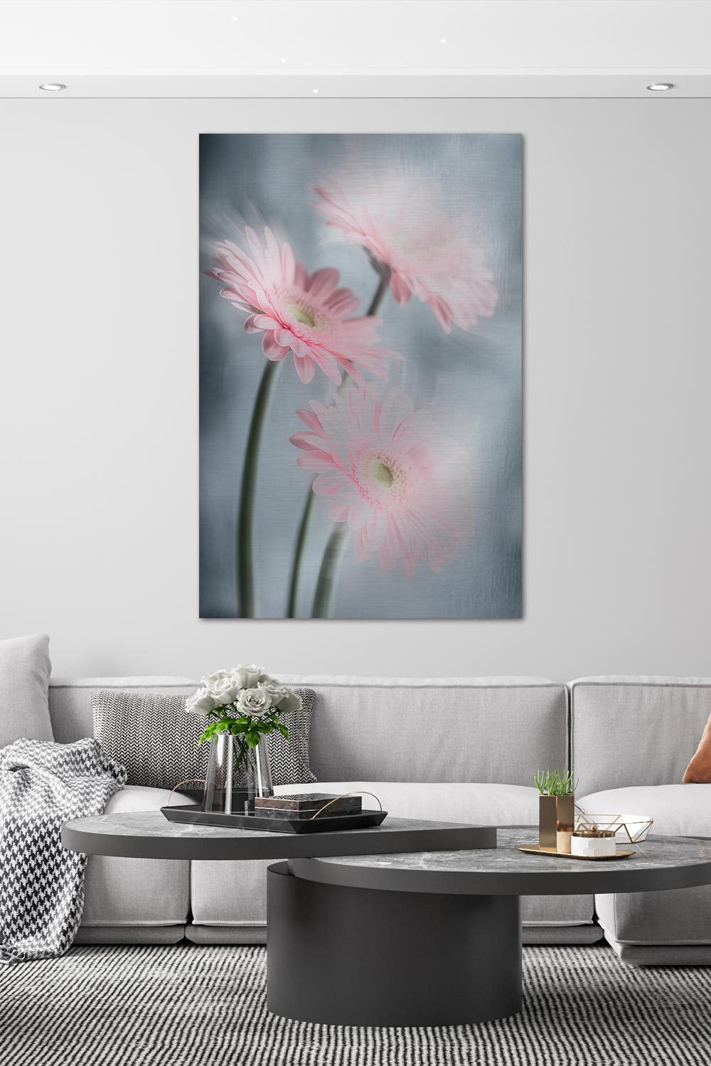 Gerberas