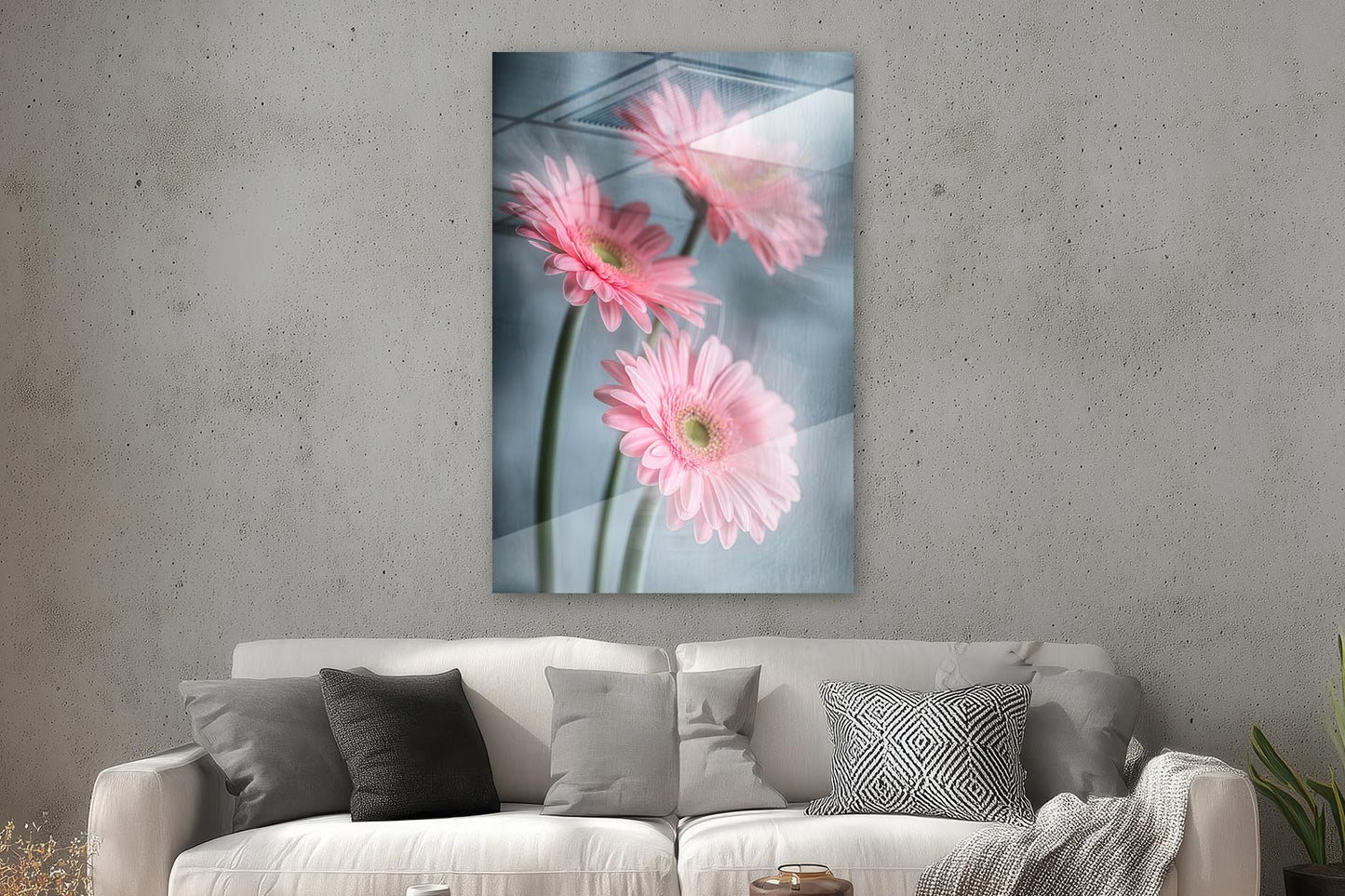 Gerberas