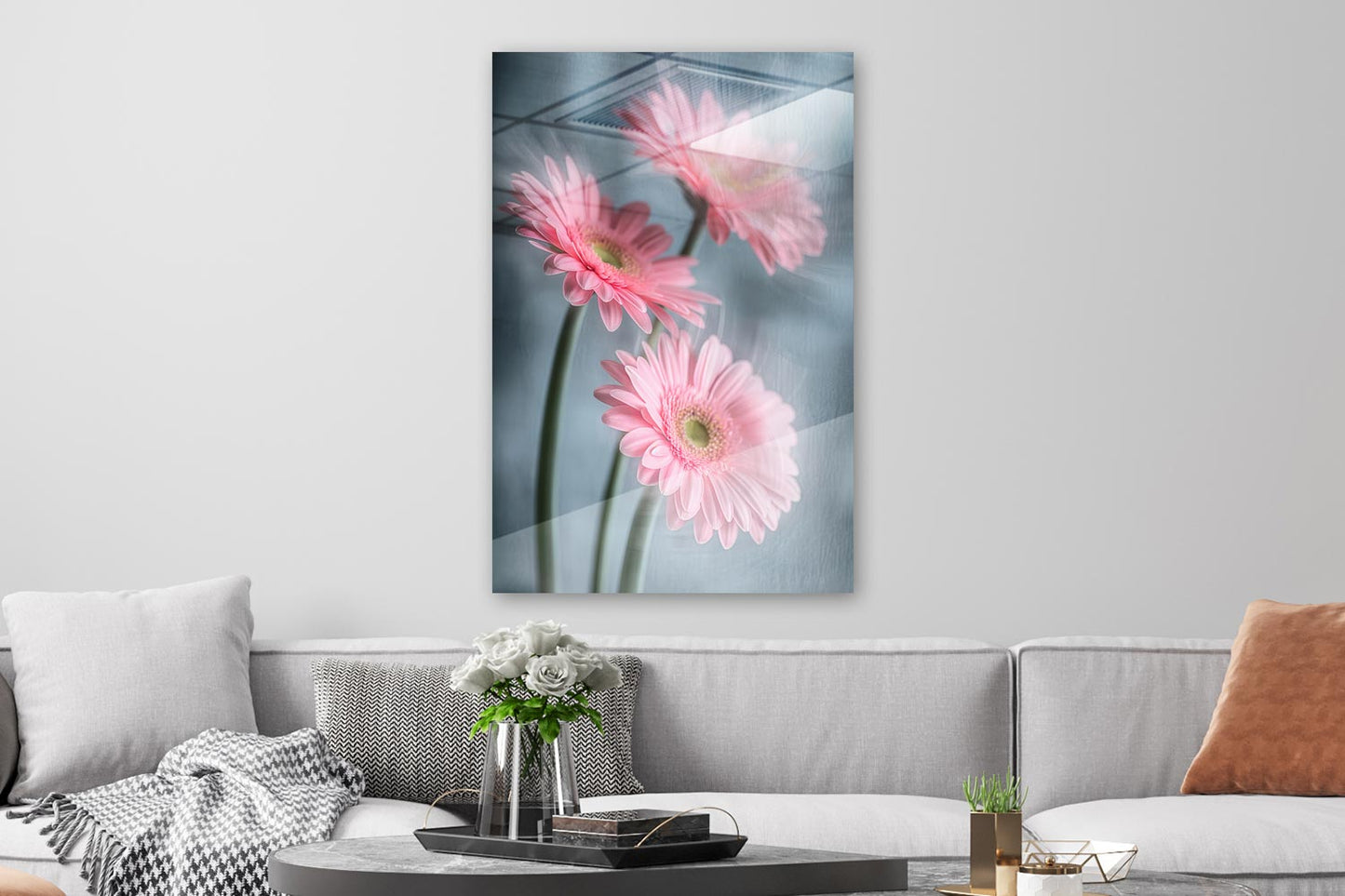 Gerberas